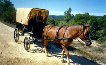 von nun an mit dem Wagen